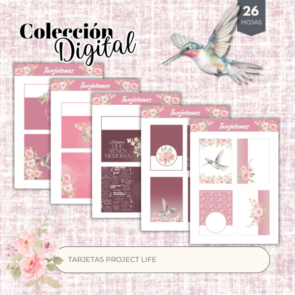3 Colección digital "Infinite Moments"