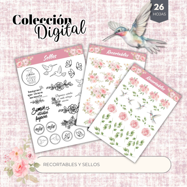 4 Colección digital "Infinite Moments"